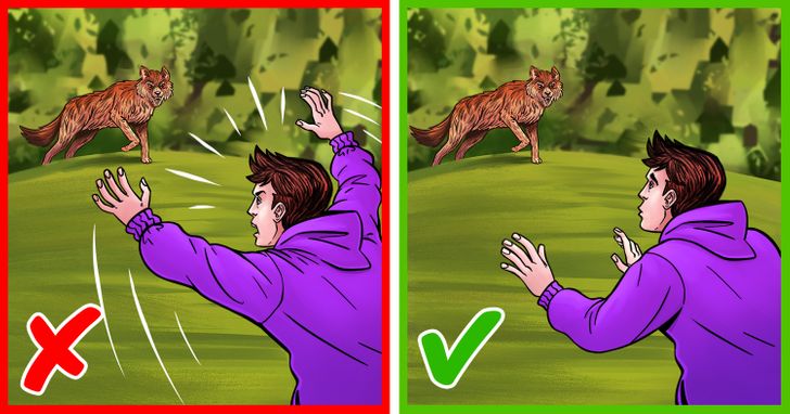 39a8bd5f36937ae0ba61ddec90