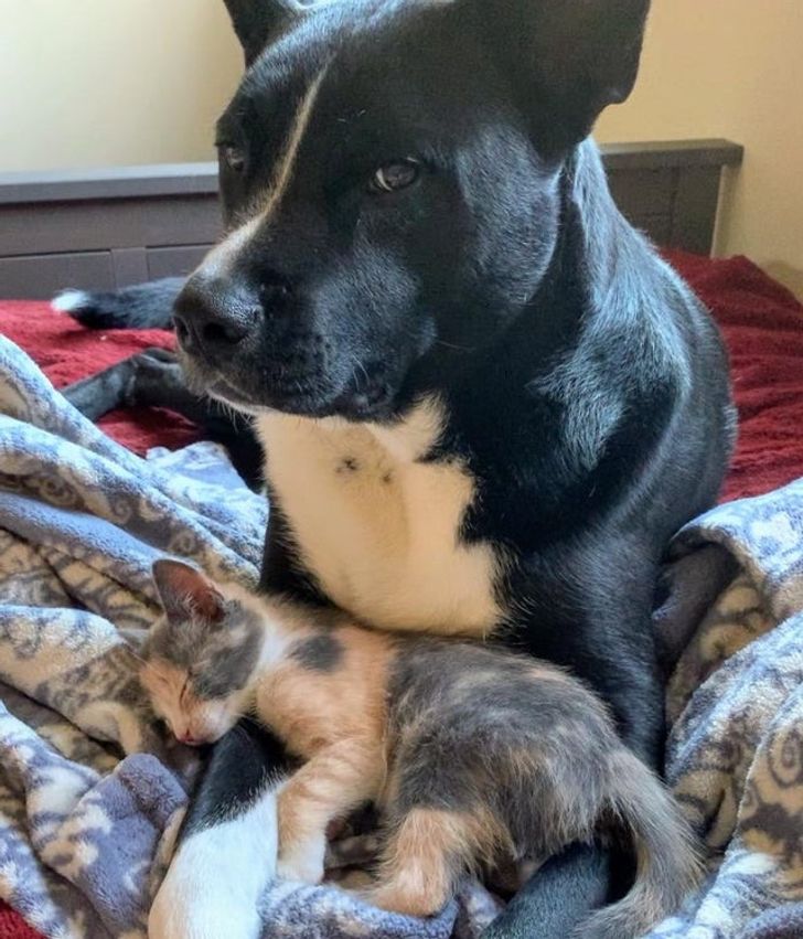 39ac715516b58ad20d9da15cdc