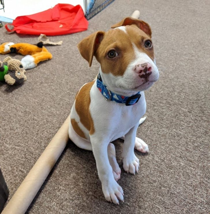 39afe055cc903a8a927b8b31e2