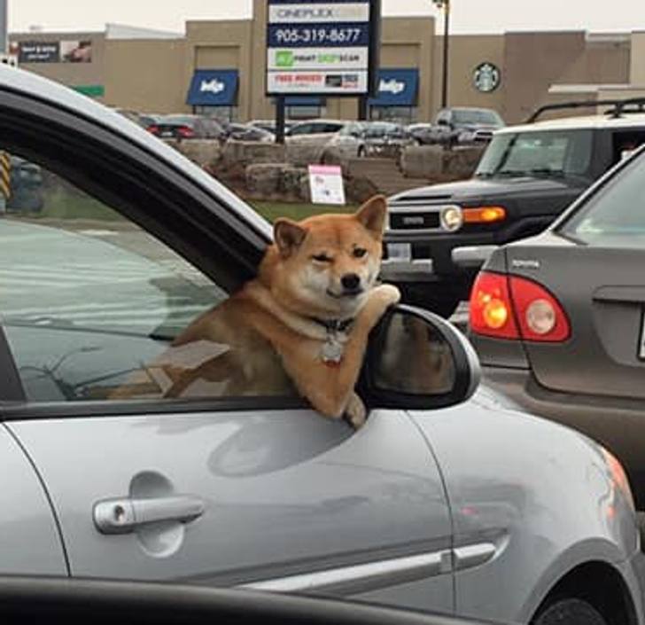 39b98b546f8a176ef46dbf1574