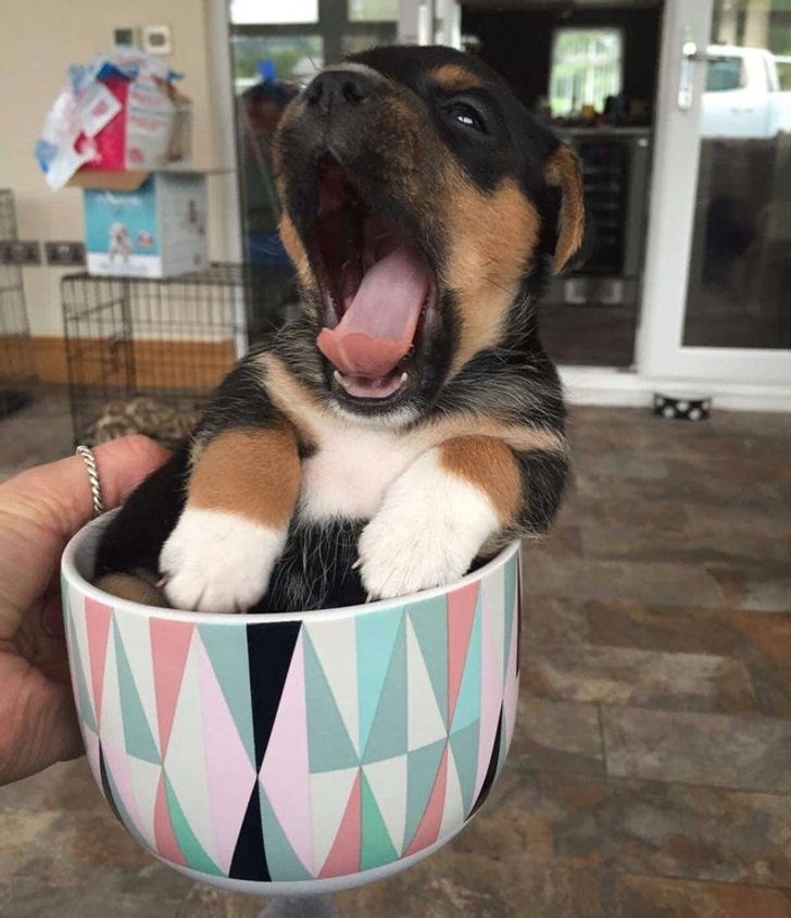 39c695506f873fa3689be02d8f