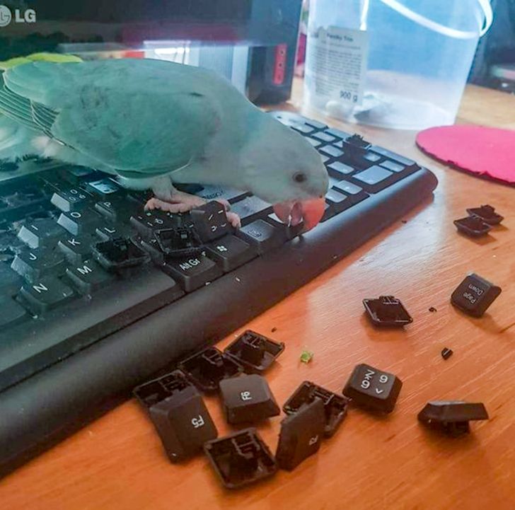 39d27751519d30659c399ed609