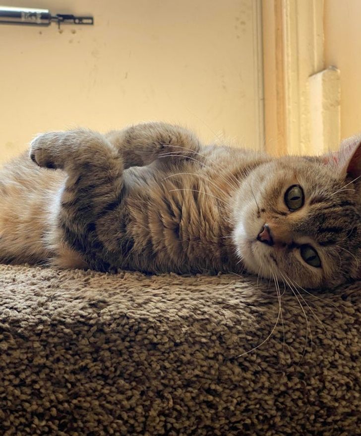 39d5ca54e6ba17789391f1aeae