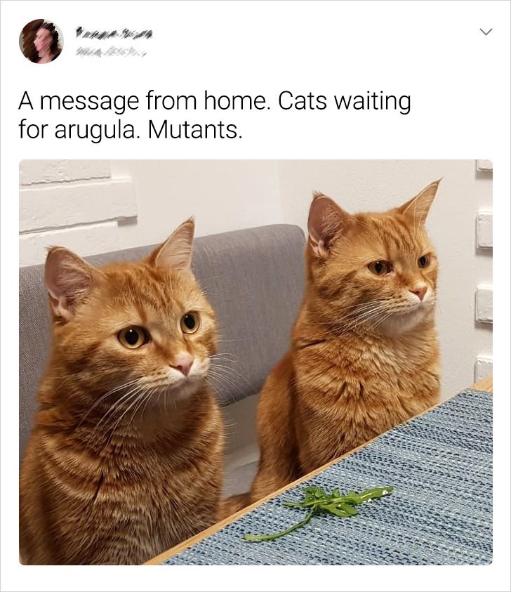 39dceb5c65b5939c19c2690834