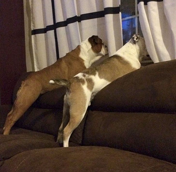 39e1965c3dbaa1c6cf581bdc25