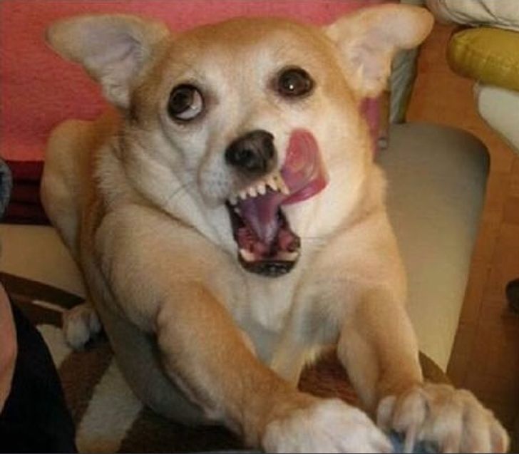 39e51e517cab5ca01ffc665b00