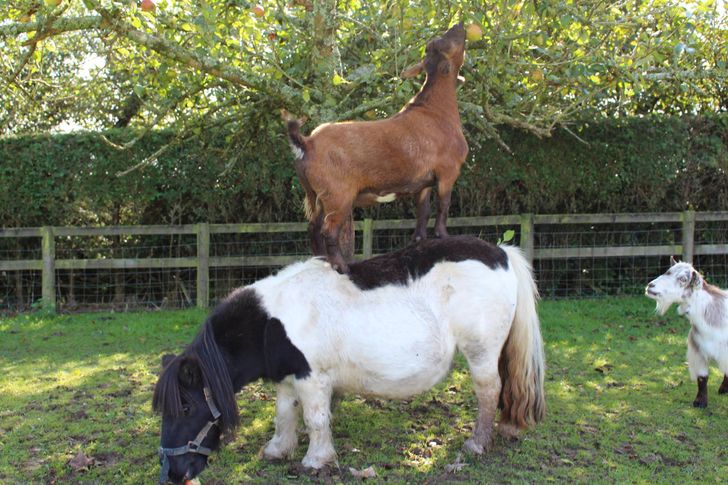 39ed835e4a92d98aaacd2e9edb