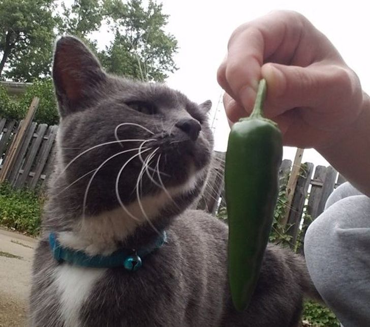 39f2555782b5be58e5b25f6e4d 39f2555782b5be58e5b25f6e4d