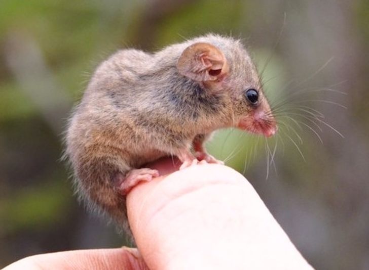 39f5265b1dafb32ef47d801cb9