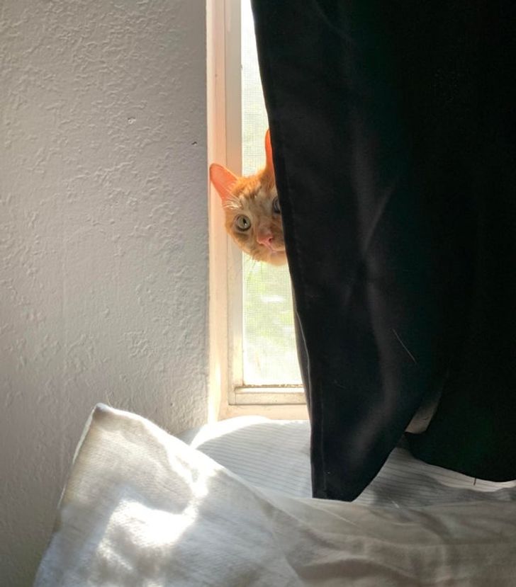 39f98656d08a8620089640c3f5