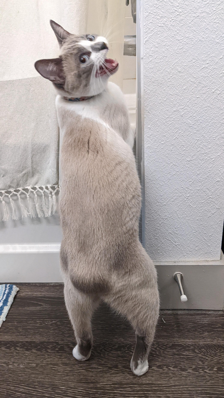 39fb775264bed3eb8a6b427701 39fb775264bed3eb8a6b427701