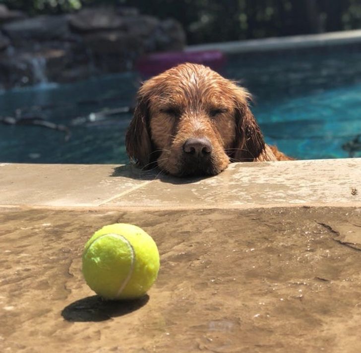 3a00975575b9270dd83b7969dd