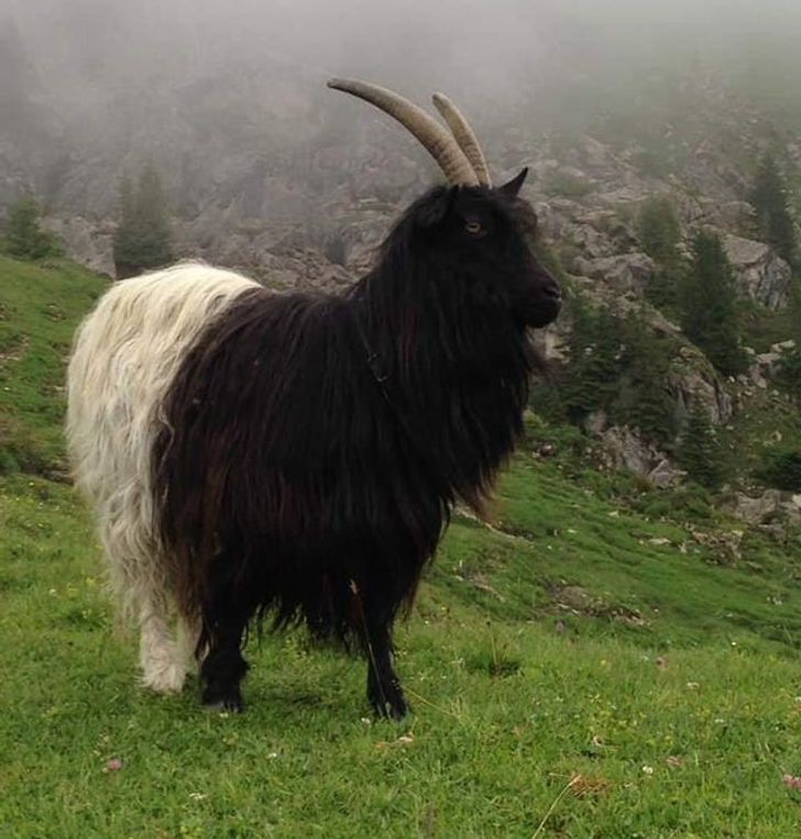 3a050e5a4e9b5cc98b9a5e576d