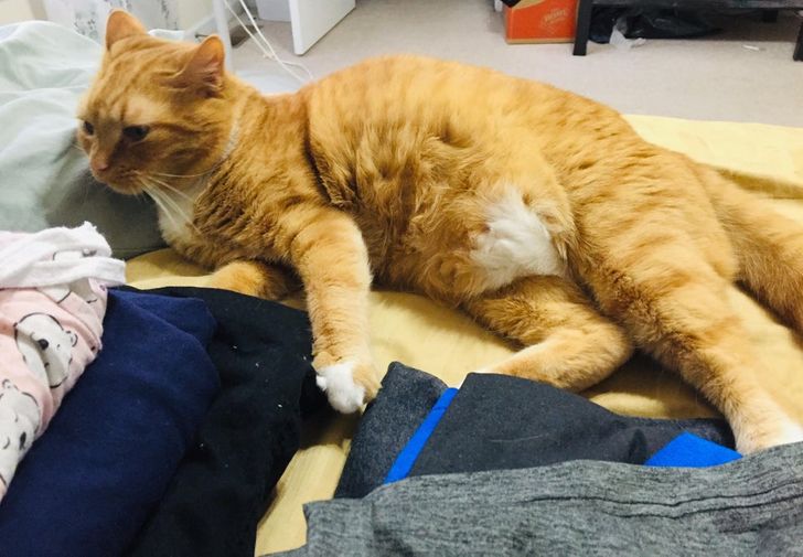 3a0aaf5d13b2530816fb290402