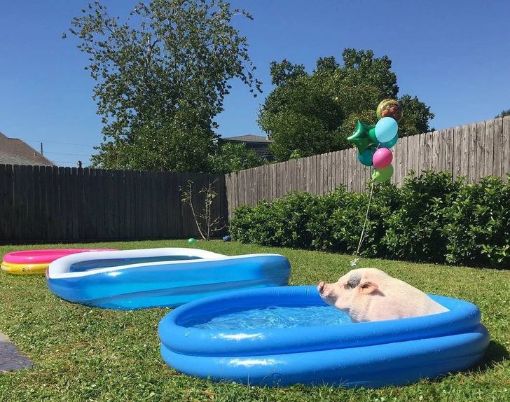 3a0abf5ba48576ef668973bf61