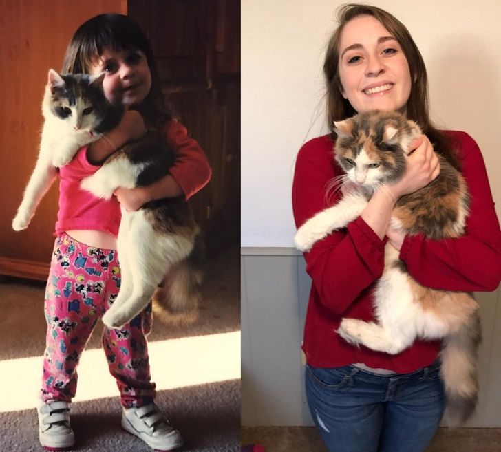 3a116d5bd5a098d16f90a64933