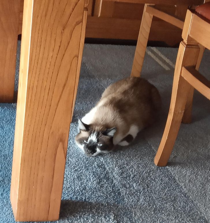 3a24405826a242286405041475