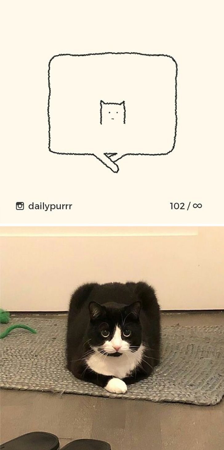 3a31625cac9a747fc945397b74