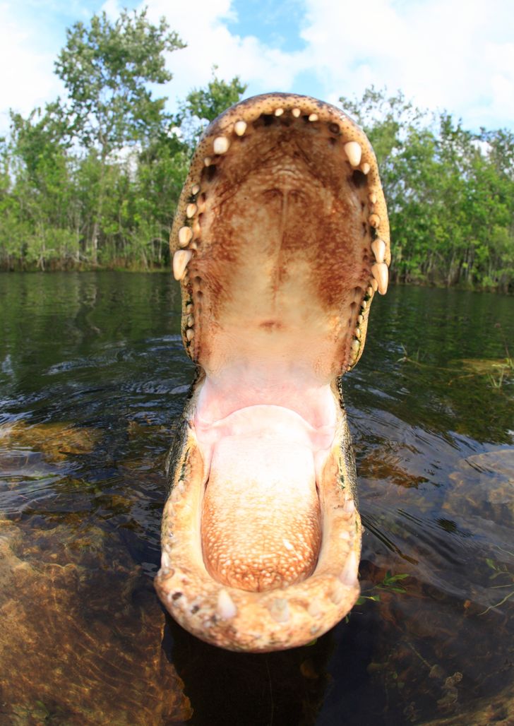 3a385352ac88f58bbdc3ca2781