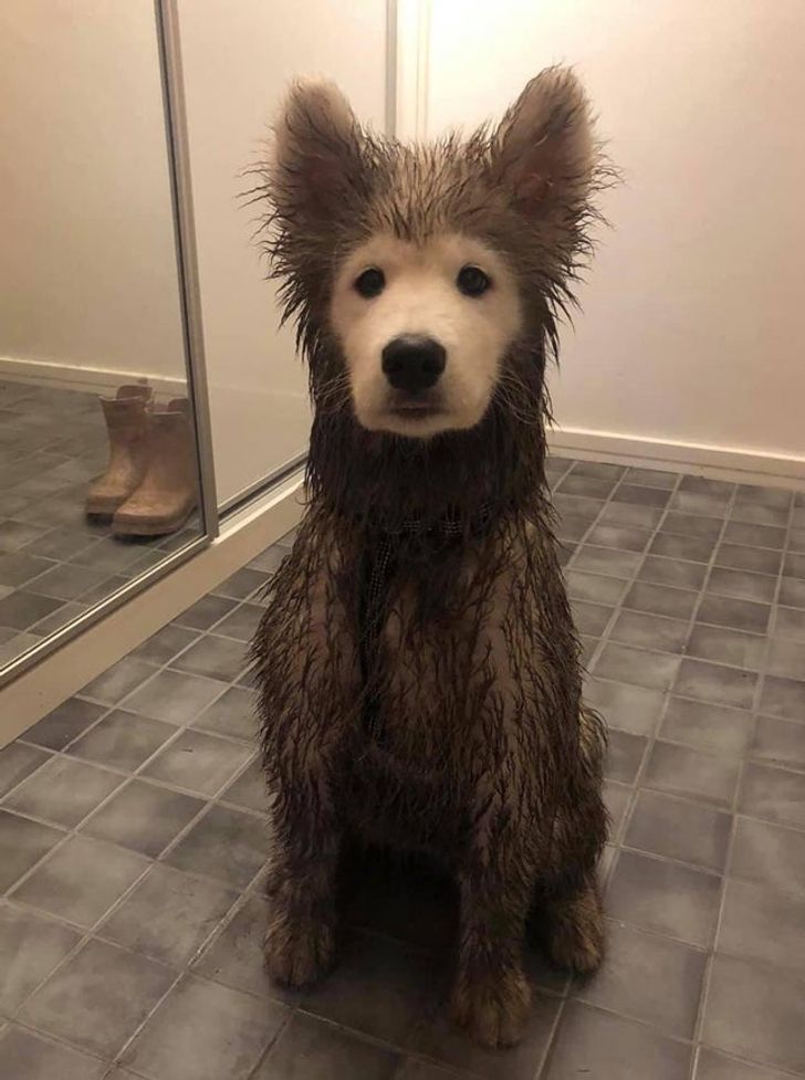 3a38f25249bbac3cbe64933ec3