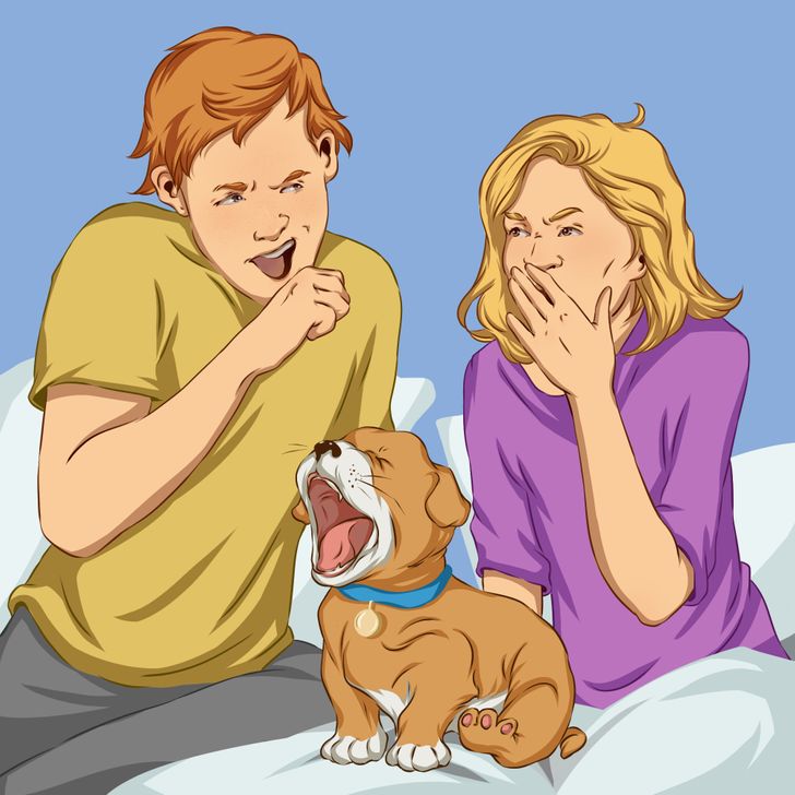 3a3a31508cb33b145ba5b85c62