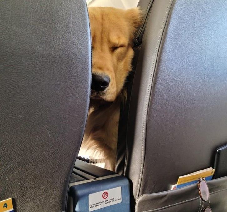 3a41b35e2492663e1a47df7604