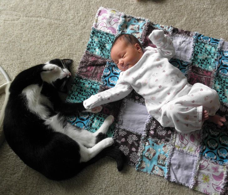 3a4f365c12bf4b41b803e0502c