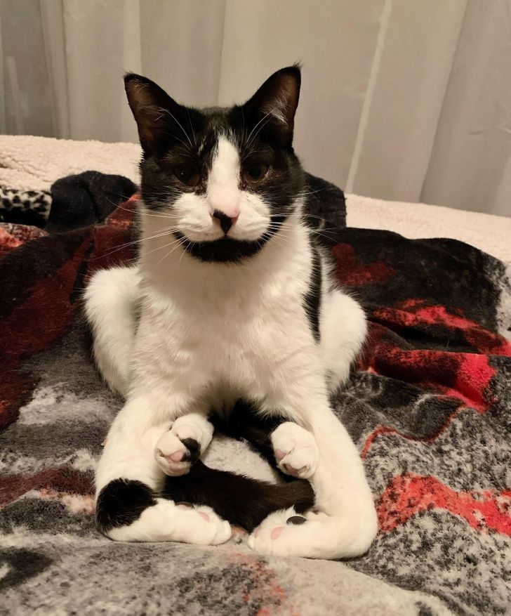 3a51765c29a1881823a731c0ad