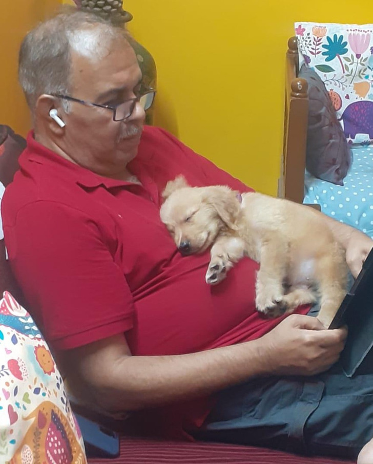 3a560758a8868cc66ad848814b 3a560758a8868cc66ad848814b