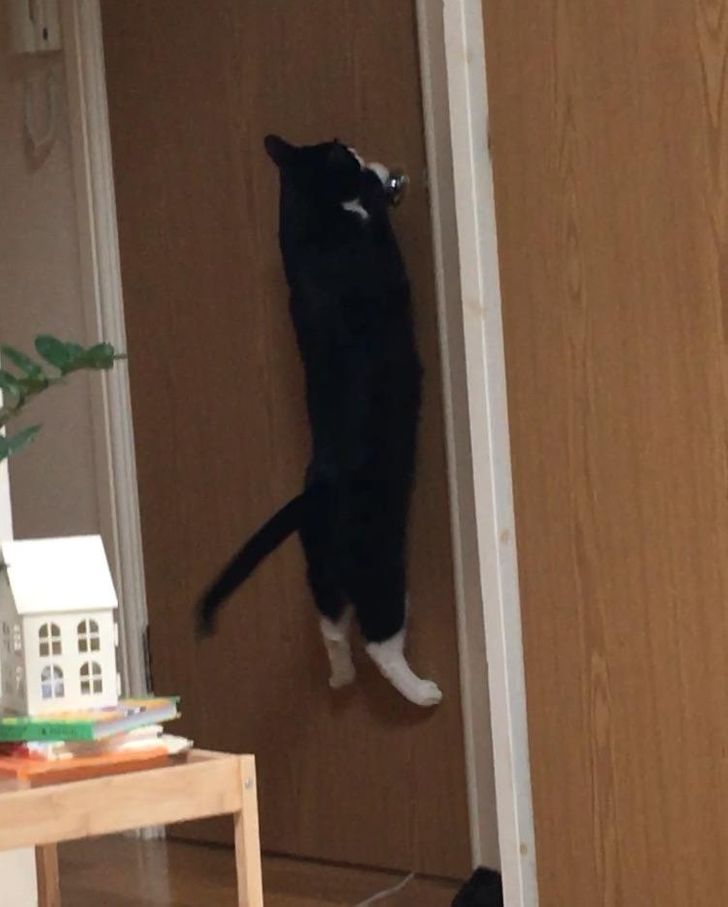 3a5ba15e7d914a547752f3b4dd 3a5ba15e7d914a547752f3b4dd