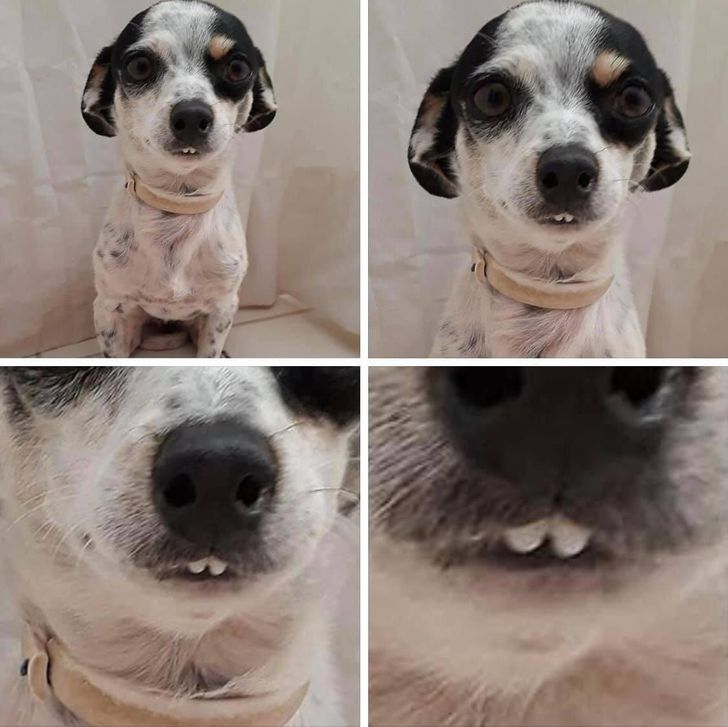 3a62fc5b36a3af6a39b2596f7a