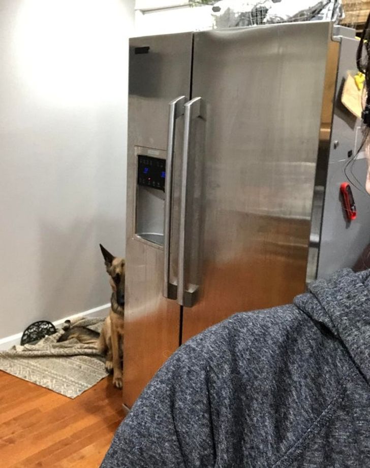 3a69b55e4c8f4feba244e859f6