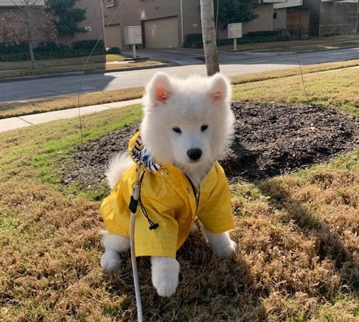 3a735257f6a3b5f2066de1c9d3