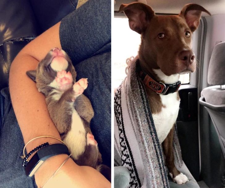 3a77c852578519a07a7988237d