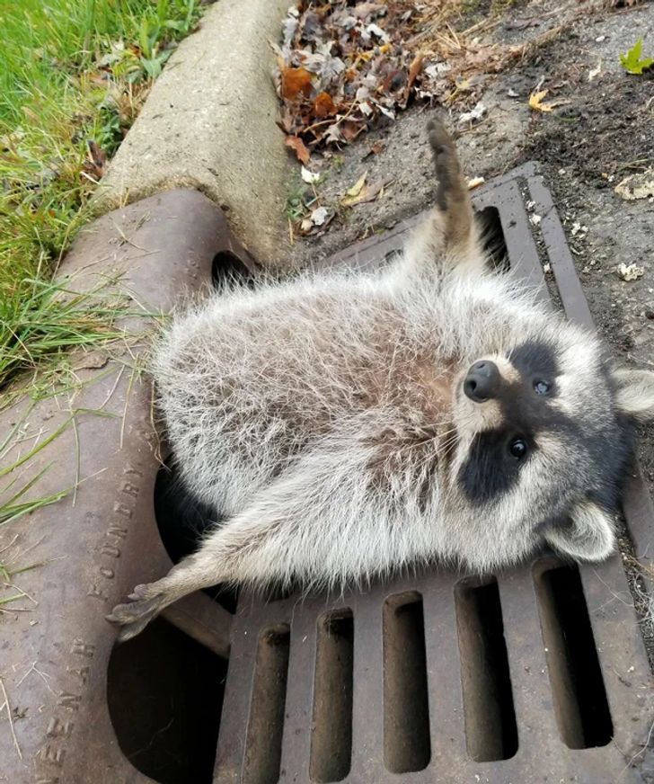 3a819058fea6ab873c24ea276a 3a819058fea6ab873c24ea276a