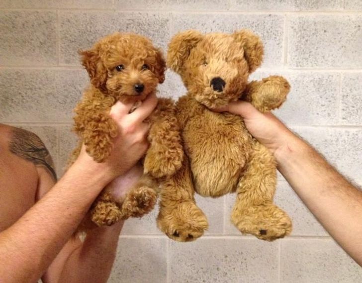 3a82235c5c8493723086ef1a58