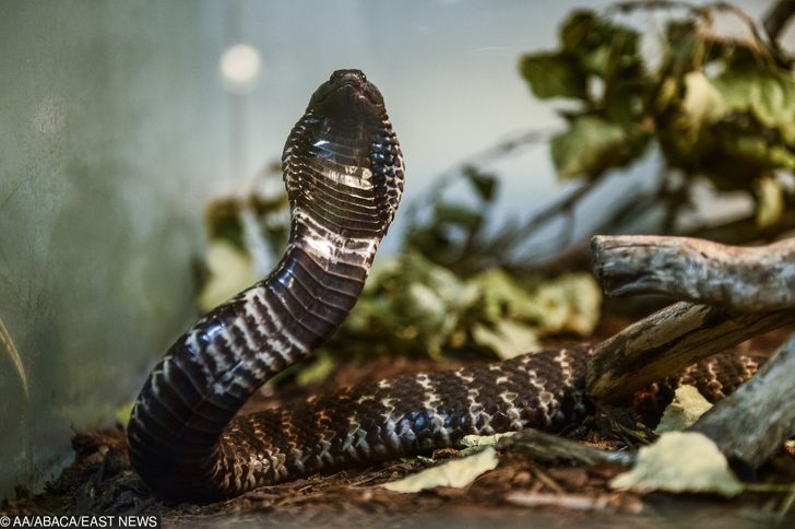 3a86045ba99ac04ebd87a07e40