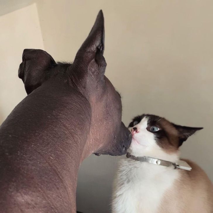 3a8c195eb9a32883e642a7b6c2