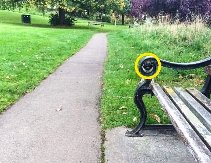 3a915f58ed85b4798fac68d5d2