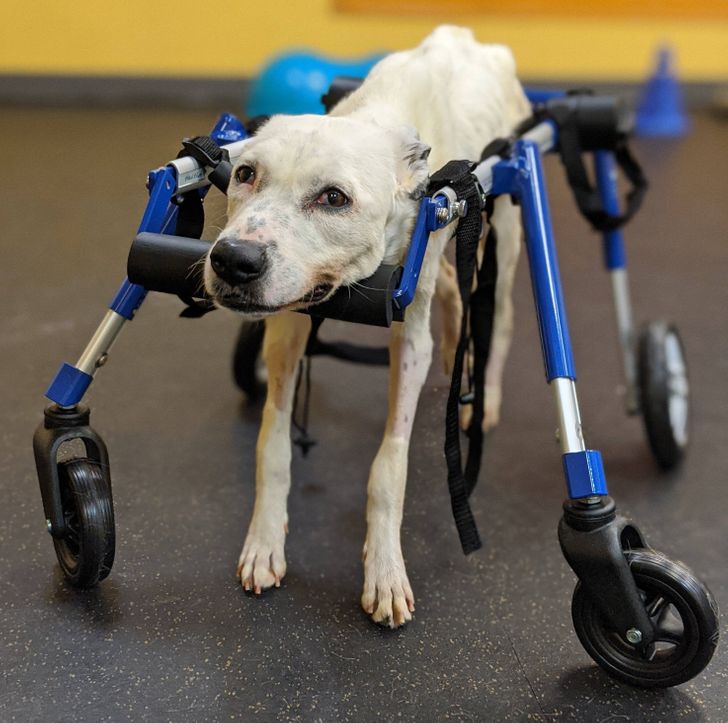 3a9a4d563eb2320b76b1e226e3