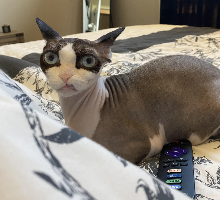 3a9f18592995bd81efddc7a183