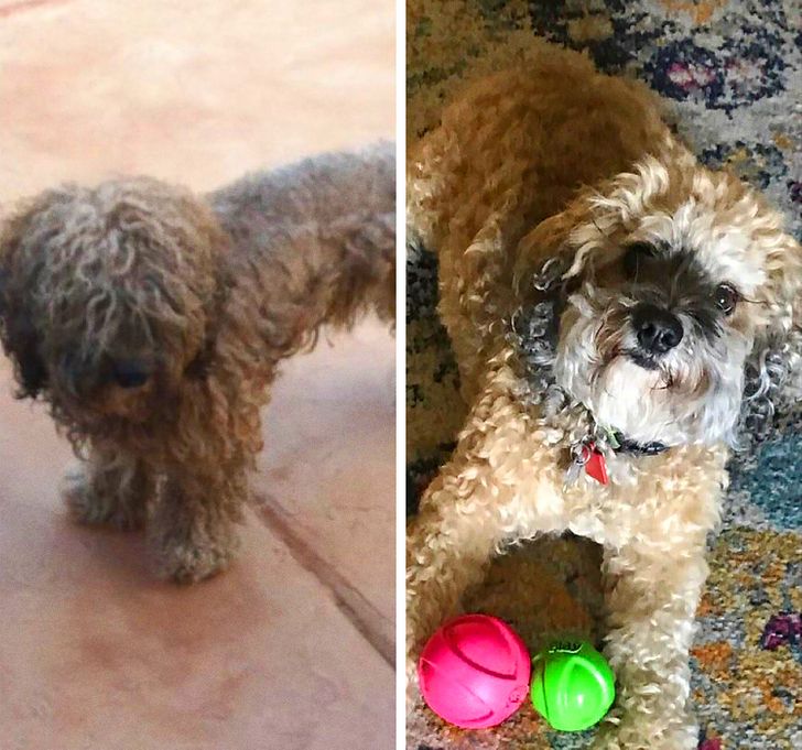 3aa56a57d6bcd3b03a4ca8b353