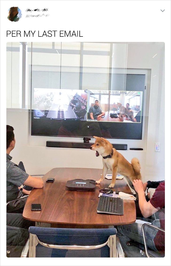 3aaeee5873ab243d6287400177