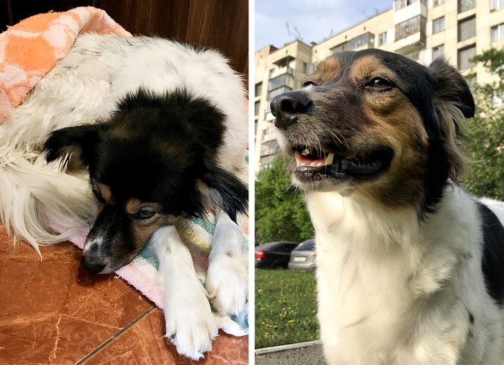 3ab832543c8448a7b60132f064