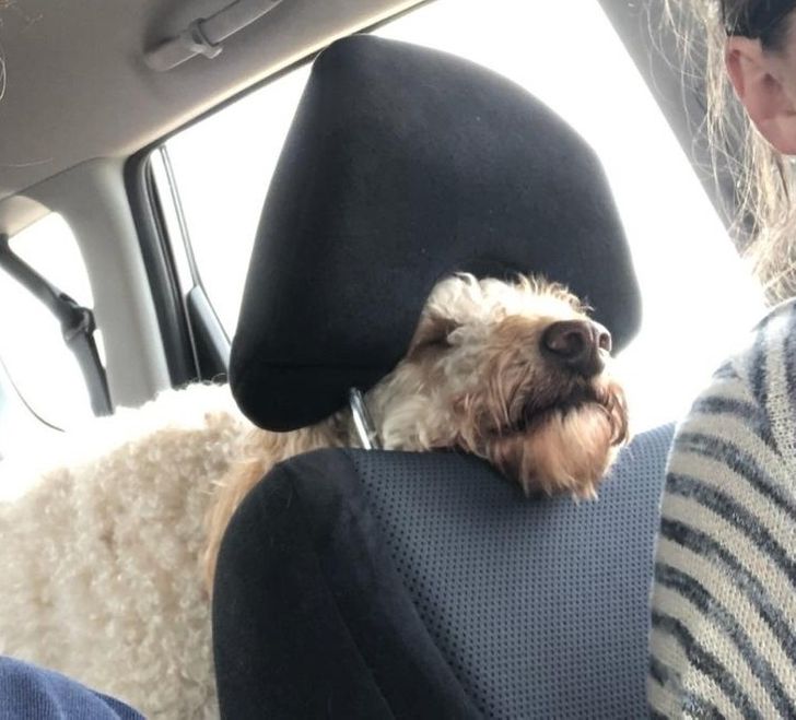 3abd6858b998f12a4634f77aba