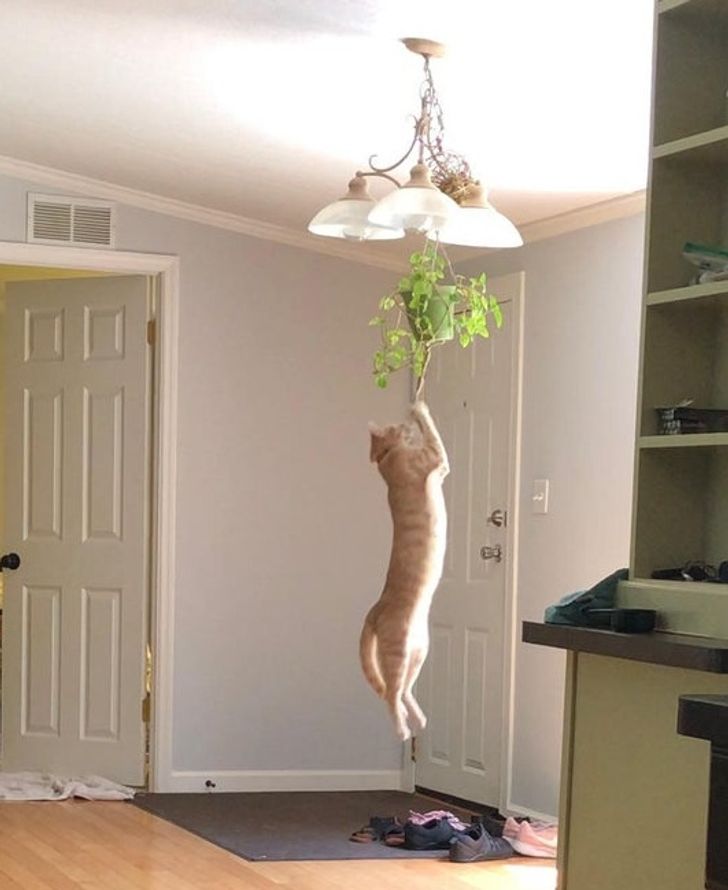 3ac14f54d9a8dd9416d006155f