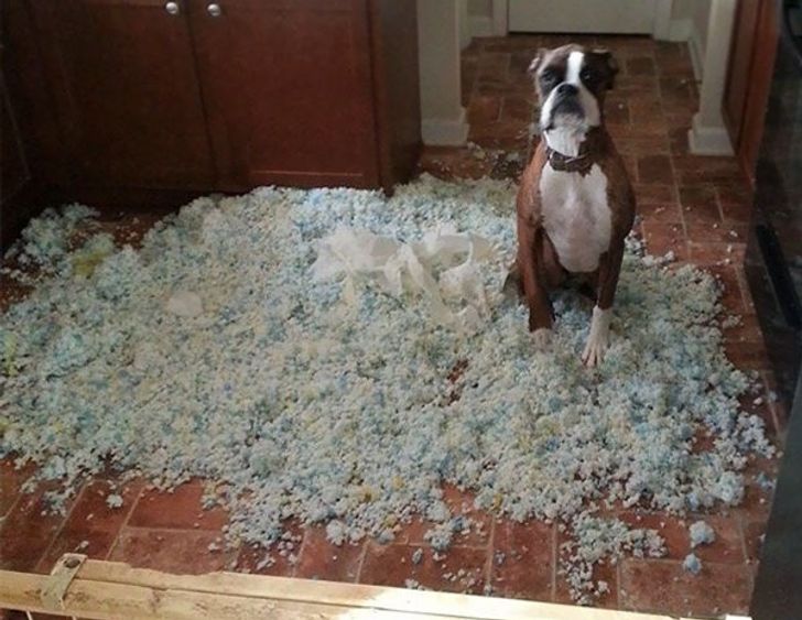 3ac3765019adafe61d3bc1830c