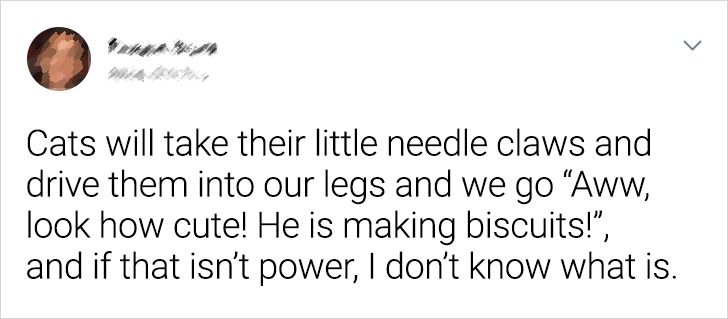 3acb3d5bf2b49c36a99d0ff2af