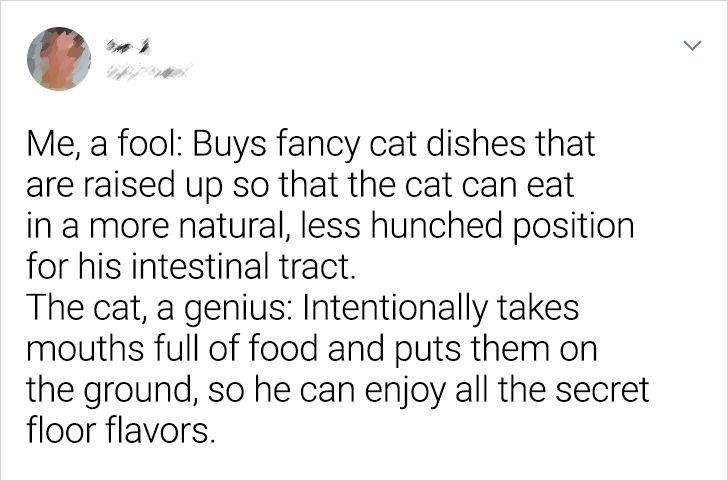 3acea3555997b7226effe2de1e