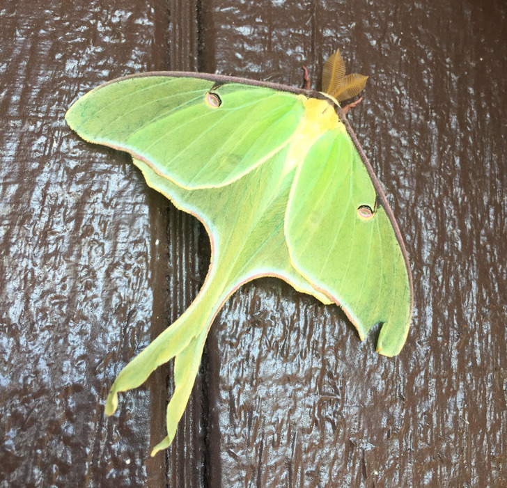 3ad12e58ca8d7c9f78a8fd0966 3ad12e58ca8d7c9f78a8fd0966